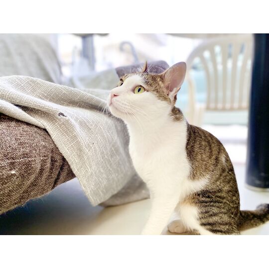 21906838-EEC9-4025-A62B-75123EE966F3