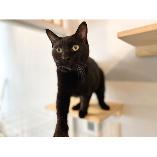 DEF2B919-CA27-4230-A1F8-D5BDF010760E