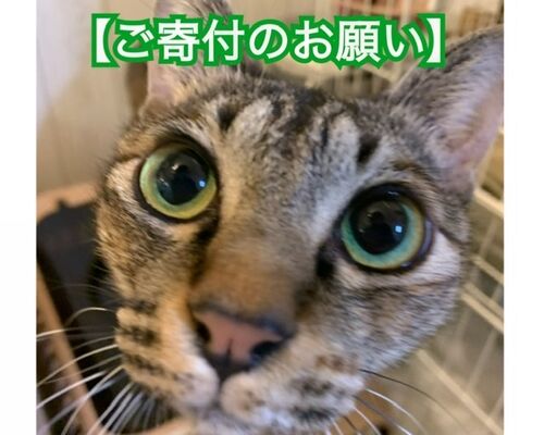 315795E8-BCF0-4E8F-8BEC-AFFFCC151618