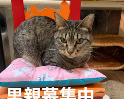 D6CFE8E1-C77E-4DEC-BC82-621C68FCD30E